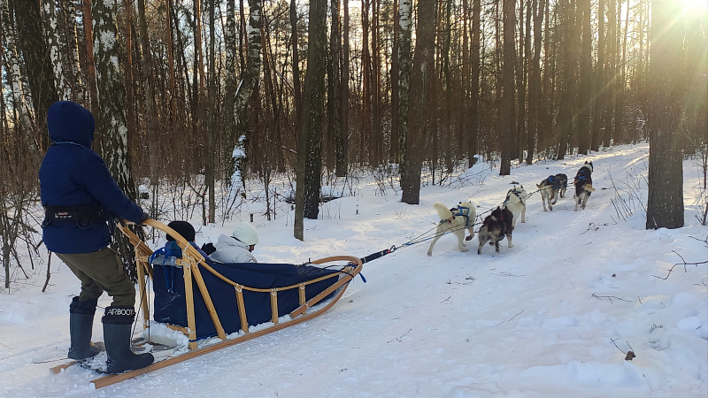 Northern Kennel изображение номер 16