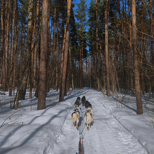 Northern Kennel изображение номер 18