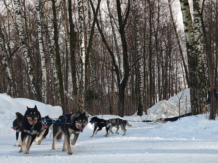 Northern Kennel изображение номер 17