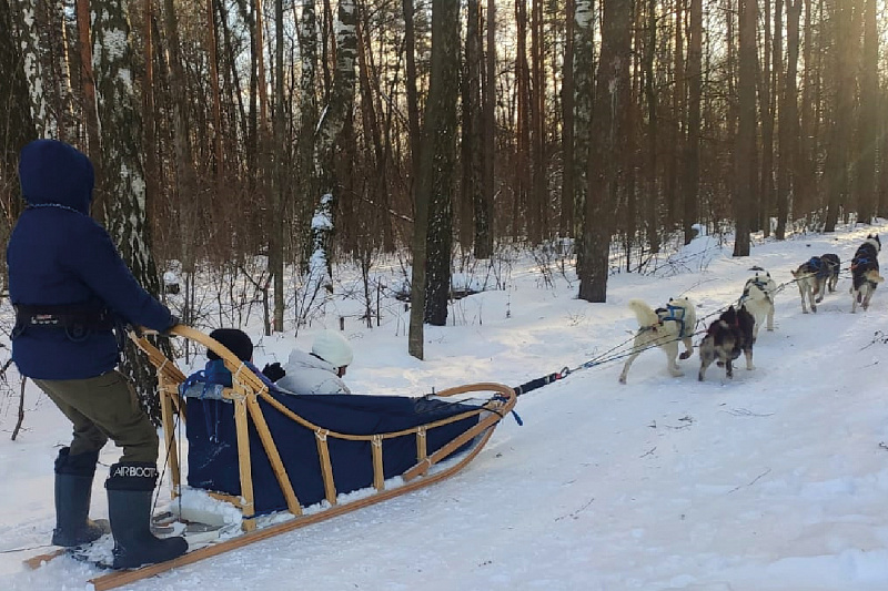 Northern Kennel изображение номер 5