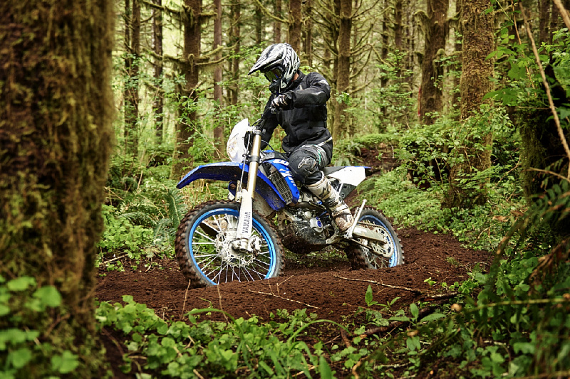 Летние активности изображение номер 12