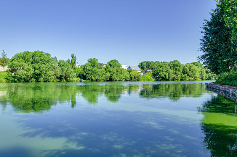 شاطئ مع حمام سباحة изображение номер 33