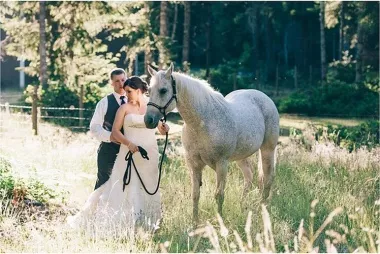 莫斯科地区的婚礼组织 изображение номер 9