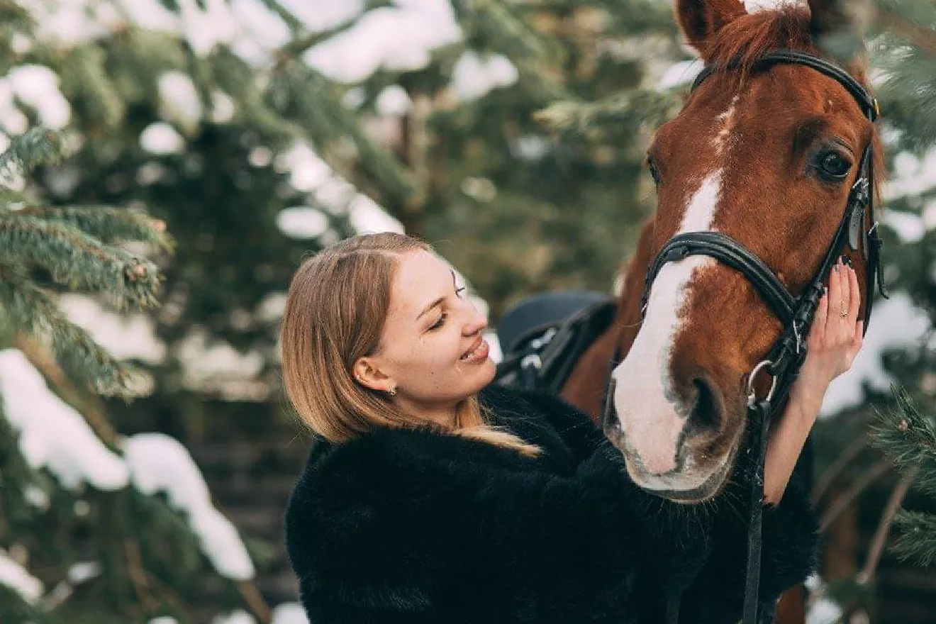 Верховая езда